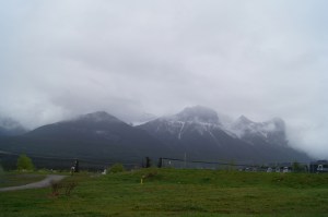 I enjoyed the view from the dog park while we got the tire repaired