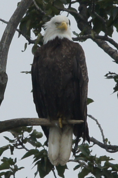 He was looking at me