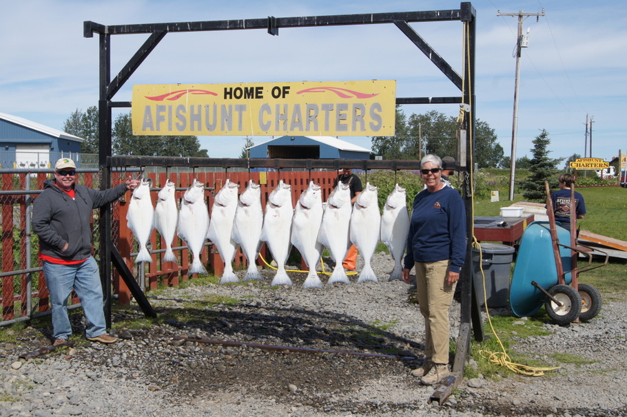 Four of these fish are ours!