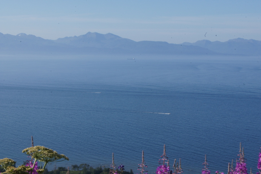 We enjoyed watching the boats going out in the bay our last morning in Homer