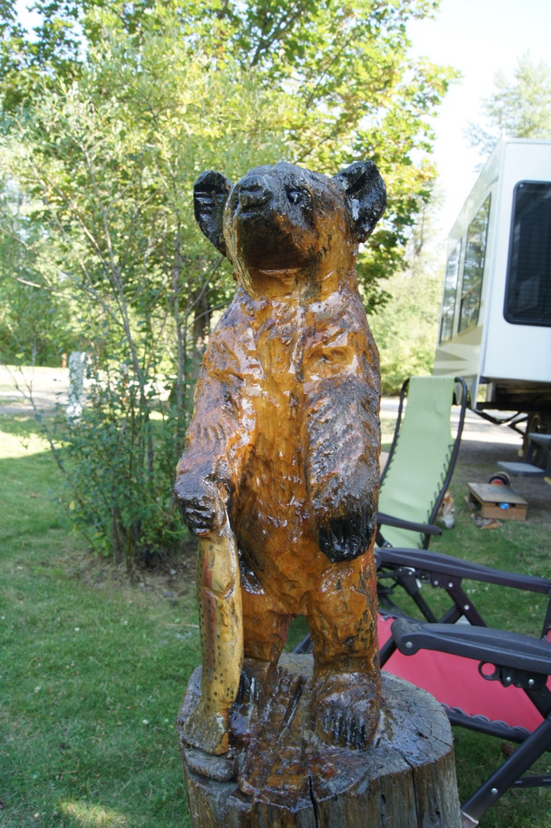 A Bear cub with fish in our campsite in St. Regis, Montana