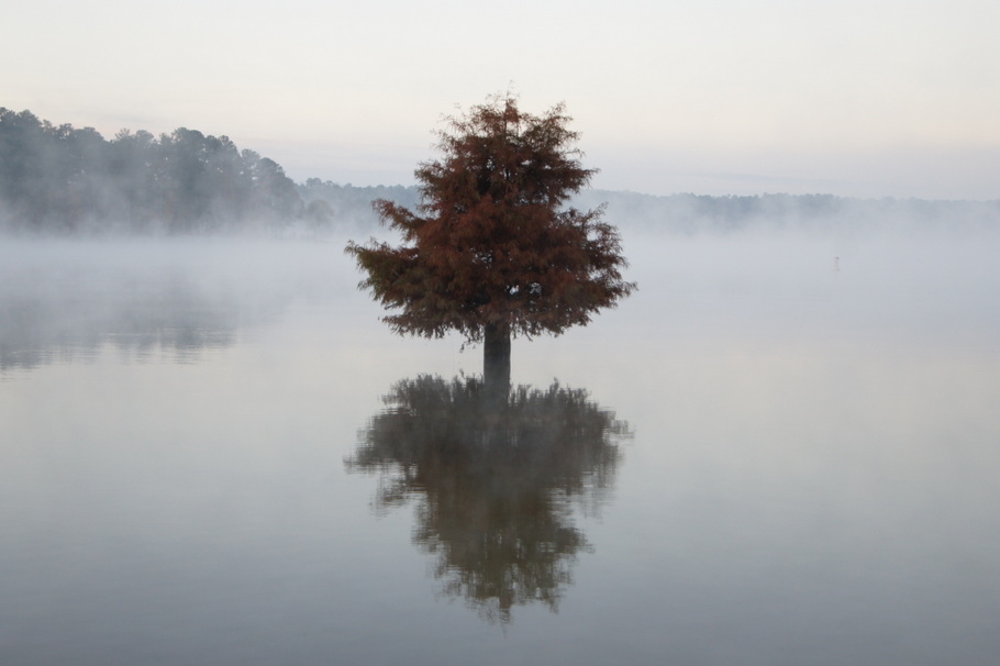 Foggy morning on West Point Lake