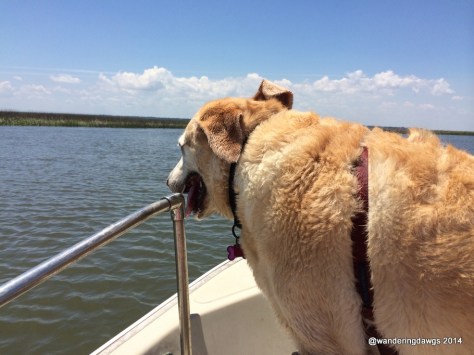 Going for a boat ride