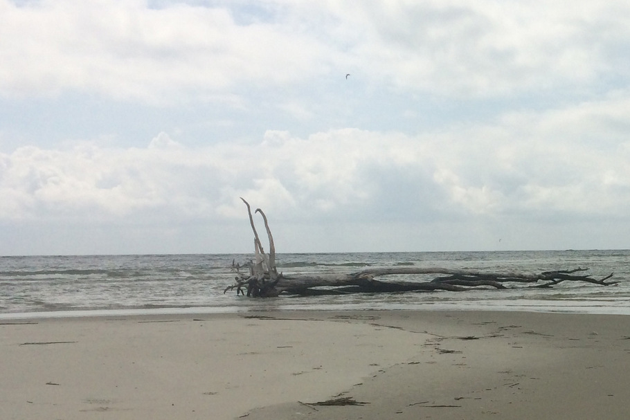 Exploring a deserted sandbar