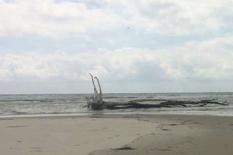 Exploring a deserted sandbar