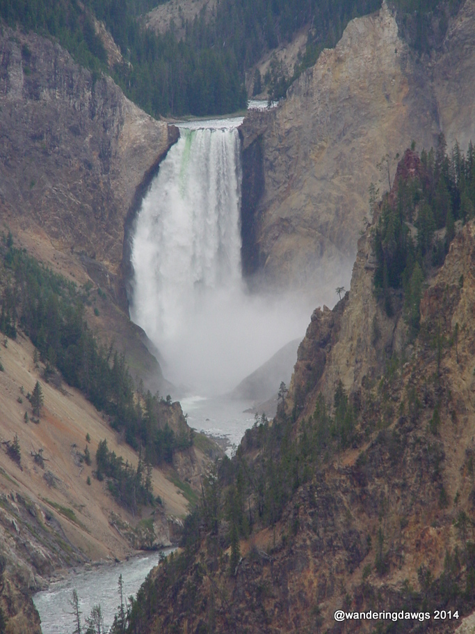 Lower Yellowstone Falls in Yellowstone National Park