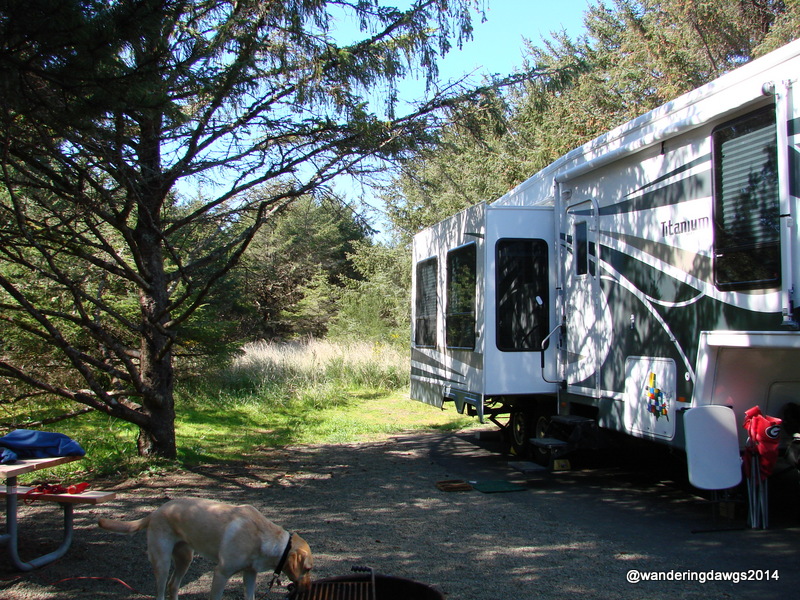 A path to the beach was behind our site at Cape Disappointment State Park