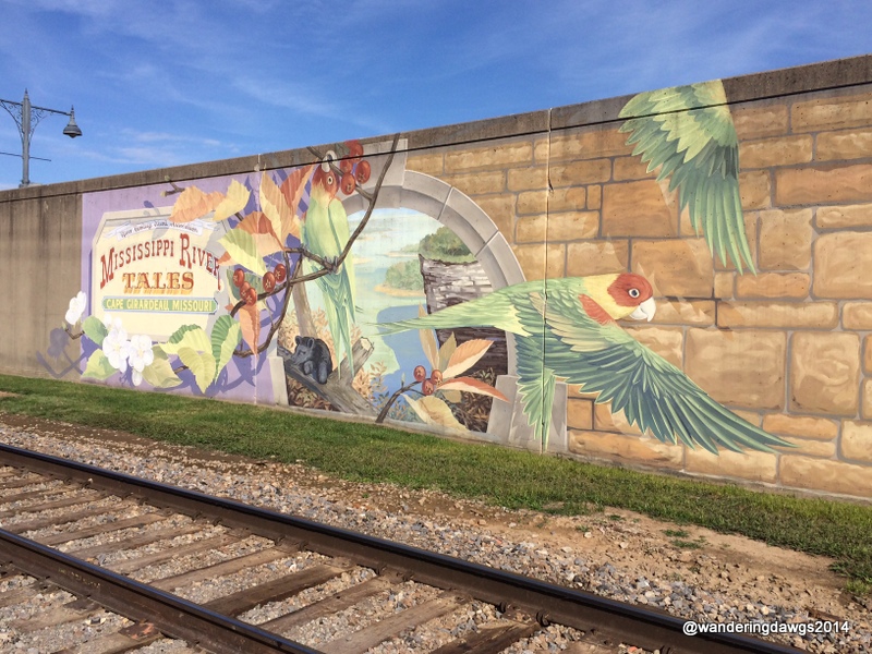 There are 24 different Mississippi River Tales Murals on the floodwall in Cape Giradeau