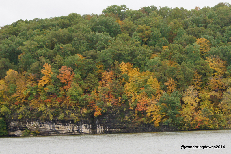 Fall Colors at Lake of the Ozarks