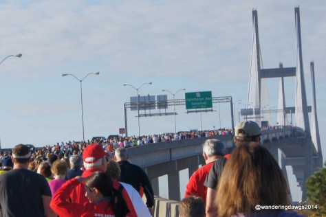 Swarm at Savannah Bridge Run 2012