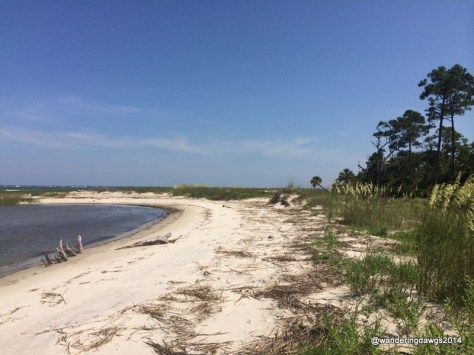 Going for a boat ride to walk on a deserted barrier island beach