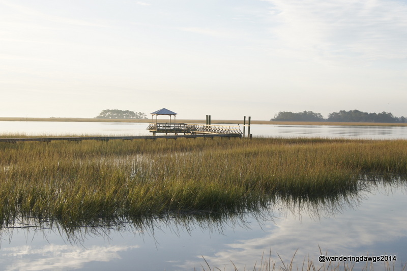 High Tide in the Salt Marsh
