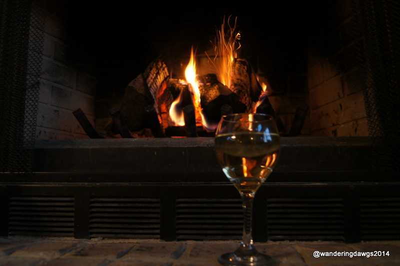 Quiet moment at the end of a hectic day