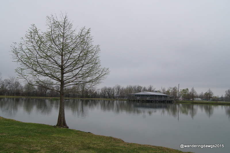 Pavilion at Poche's Fish N Camp