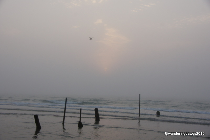 Misty morning at Mustang Island