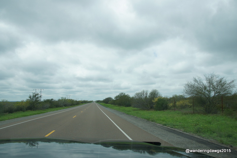 Miles and Miles of Texas