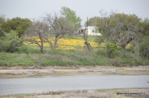 Llano River
