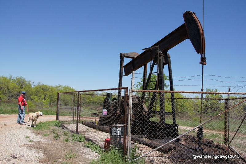 Inspecting an oil pump in the park