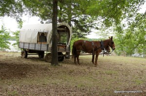 Chuck Wagon