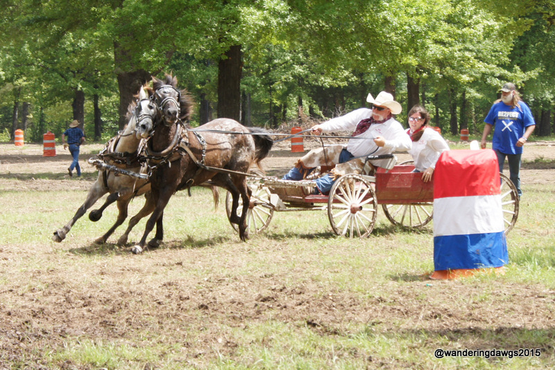 Buckboard Race