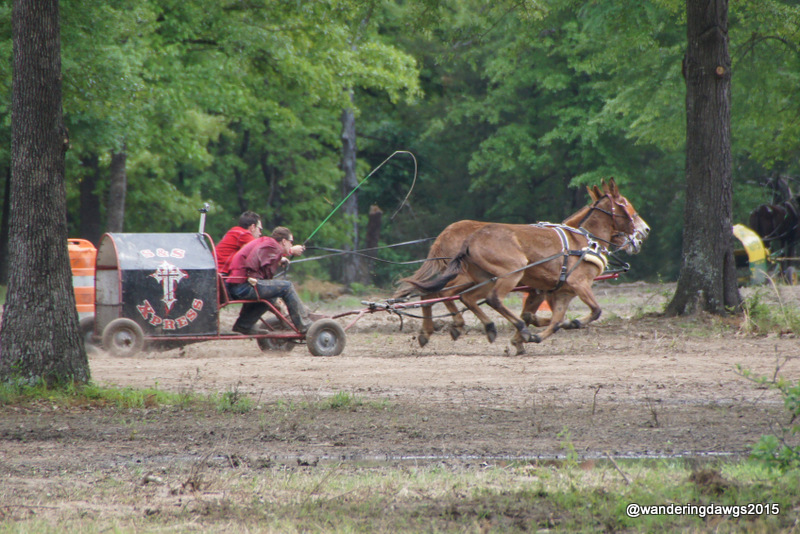 Nearing the finish line