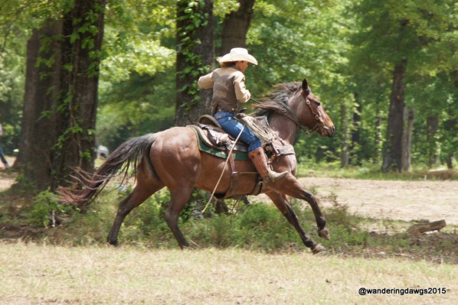 Outrider in Chuck Wagon Race