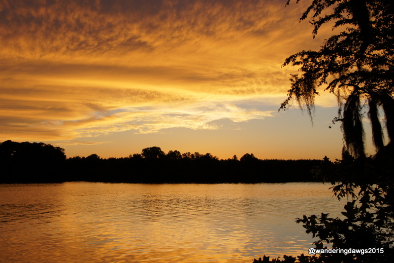 Sunset over the Alabama River at Prairie Creek Campground
