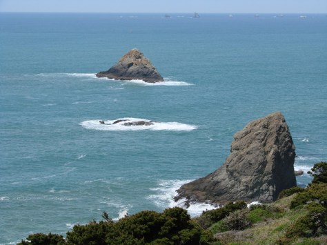 Oregon Coast