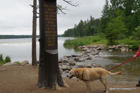 Headwaters of the Mississippi River in Itasca State Park, Minnesota
