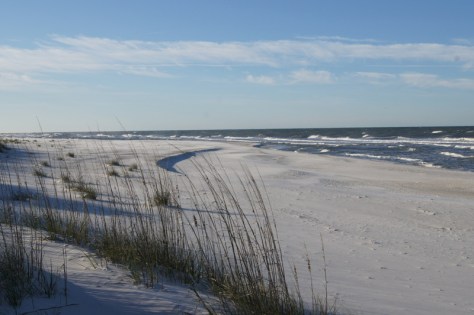 St. Joseph Peninsula State Park, Florida
