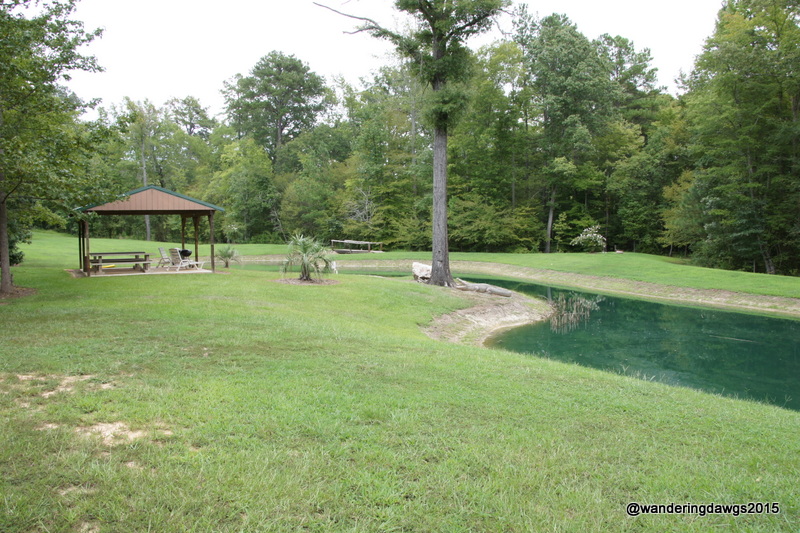 We enjoyed taking a walk around the pond in the campground