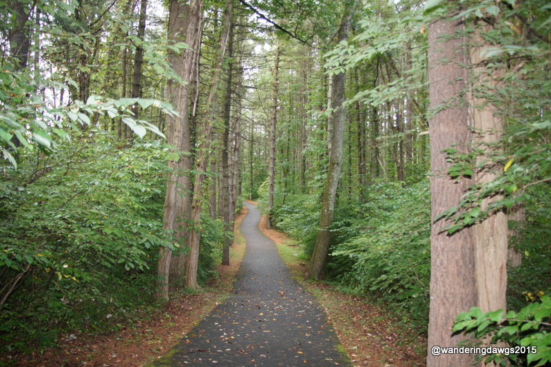 Trail at Claytor Lake State Park