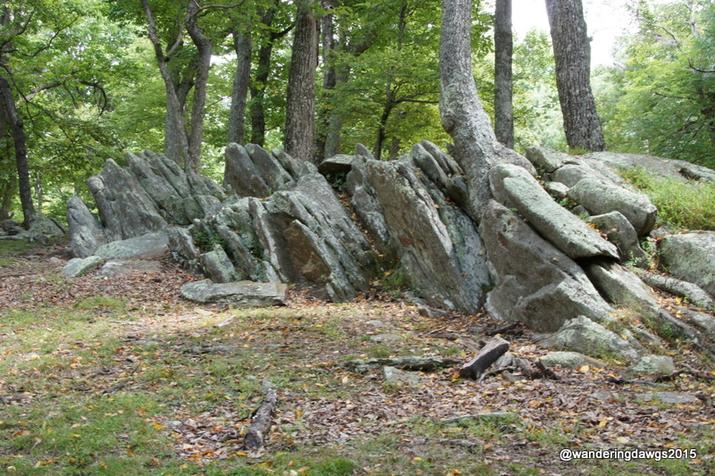 Rocky Knob picnic area on the Blue Ridge Parkway in Virginia