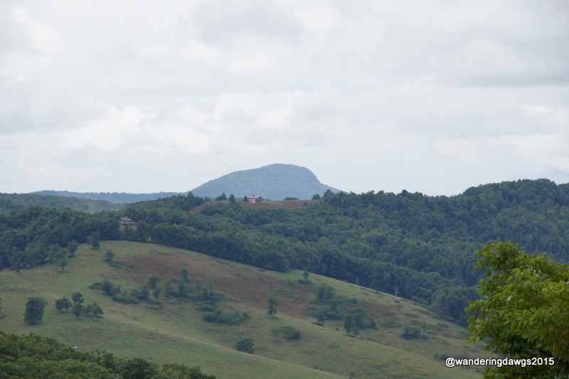 Buffalo Mountain from the Saddle Overlook on Blue Ridge Parkway