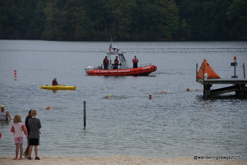 Swimmers heading for the beach