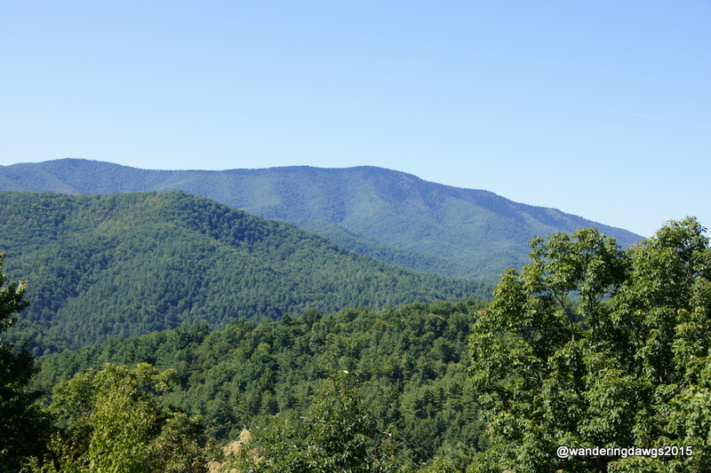 Cataloochee Valley Overlook Great Smoky Mountains