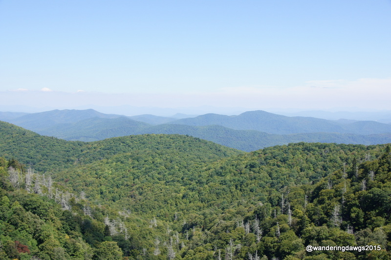 Beautiful day for a drive on the Blue Ridge Parkway in NC