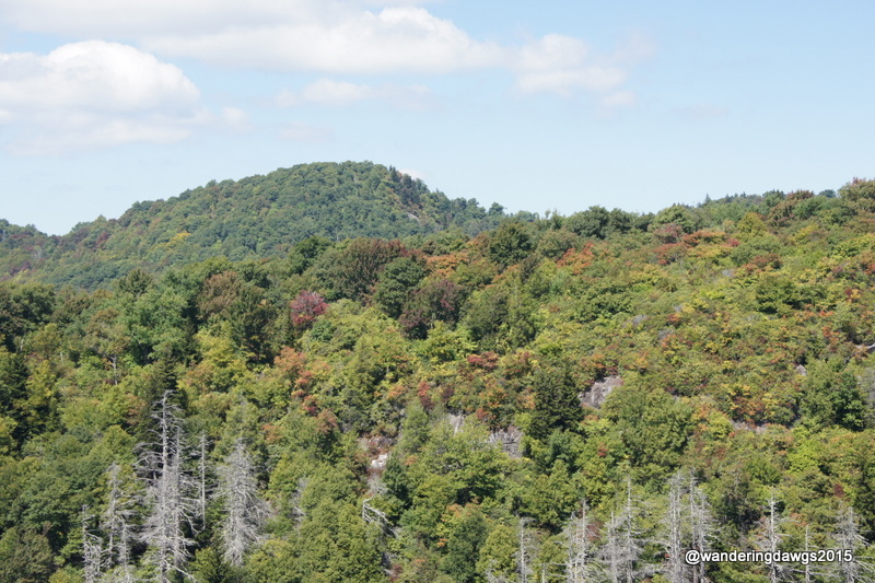 A few fall colors on the Blue Ridge Parkway in NC