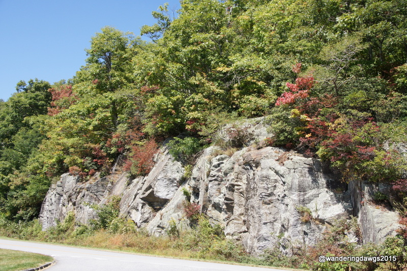Fall Colors on Blue Ridge Parkway in NC