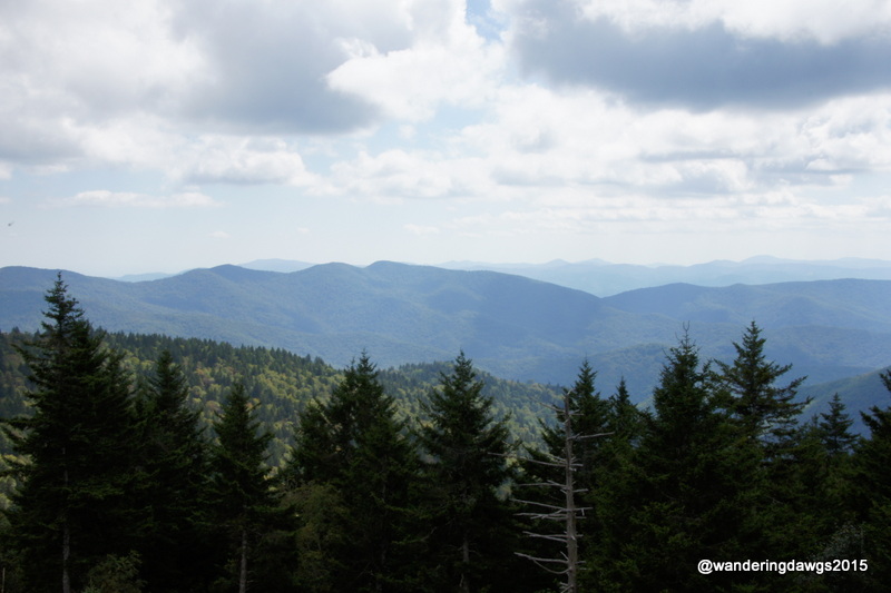 Highest Point Blue Ridge Parkway in NC
