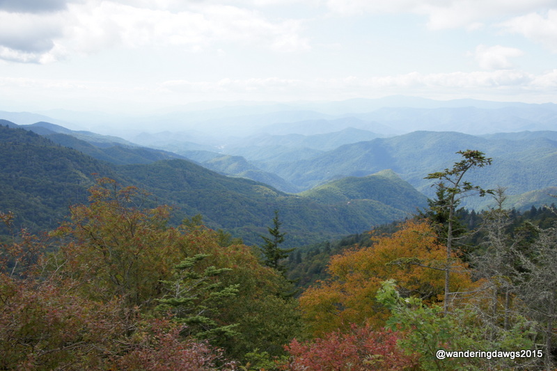 Blue Ridge Parkway in NC