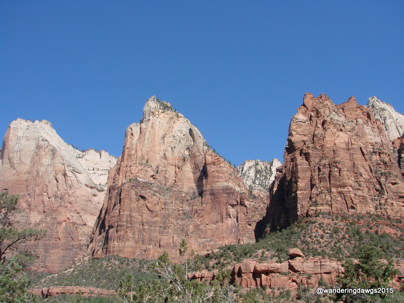The Tree Patriarchs in Zion National Park, Utah