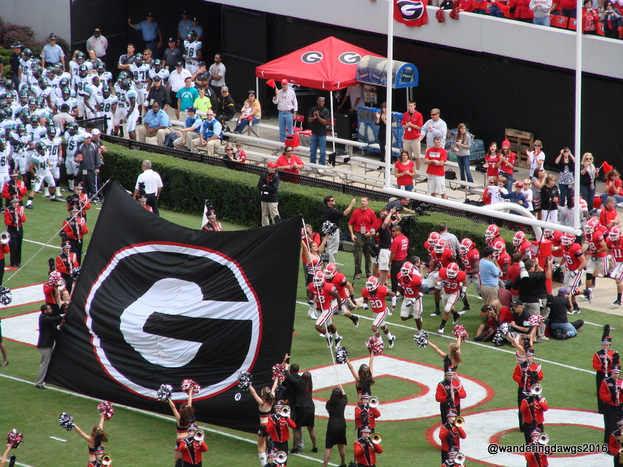 G is for Georgia Bulldogs