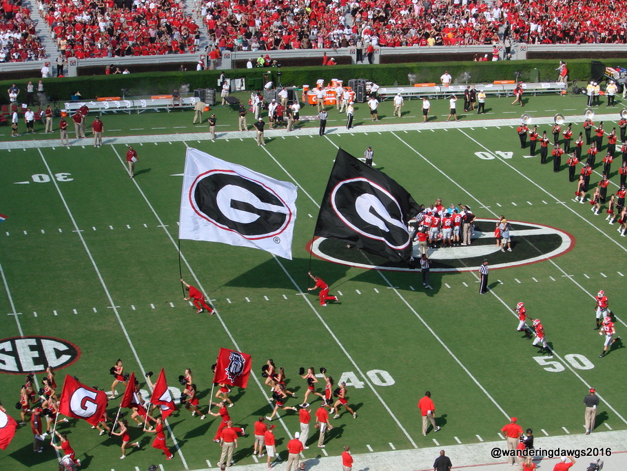 G is for Georgia Bulldogs