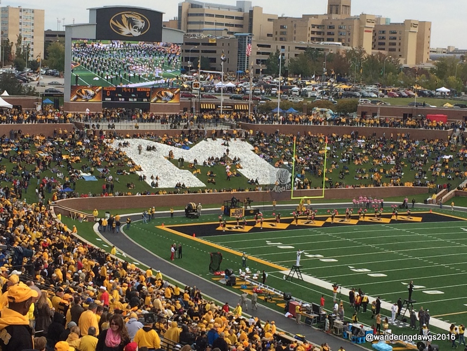 University of Missouri Logo in the grass at the Mizzou Stadium