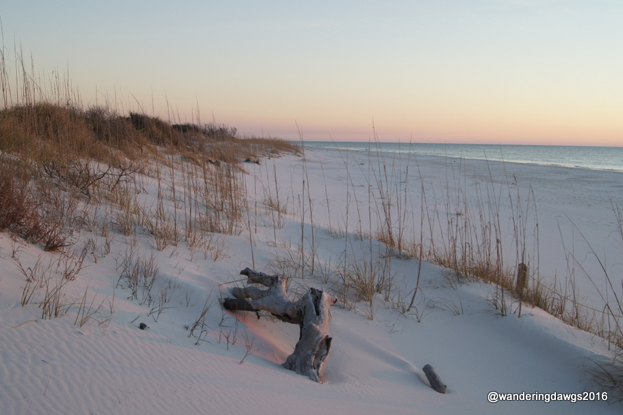 The beach at sunset at St. Joseph Peninsula State Park