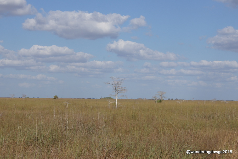 Pa-Hay-Otee Overlook in Everglades National Park