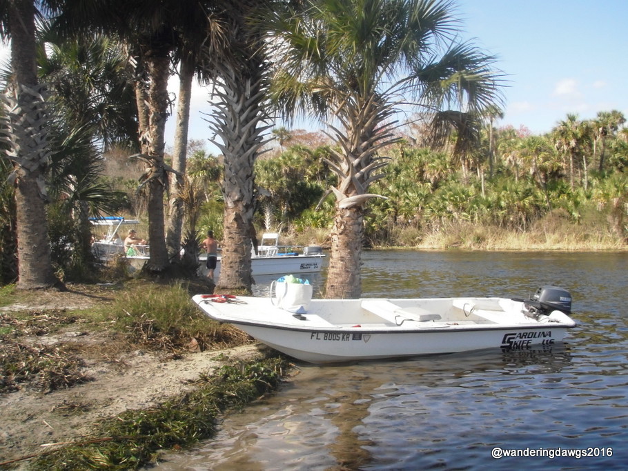 Went for a boat ride in the Salt Springs Run