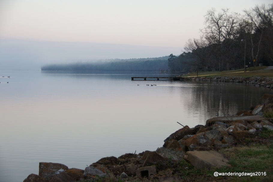 Foggy morning on Lake Seminole at Eastbank