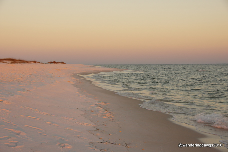 The beach at sunset